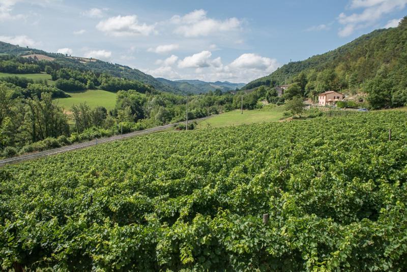 Agriturismo PEDROSOLA Brisighella Exterior foto